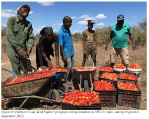 Farmers selling tomatoes to the school lunch program