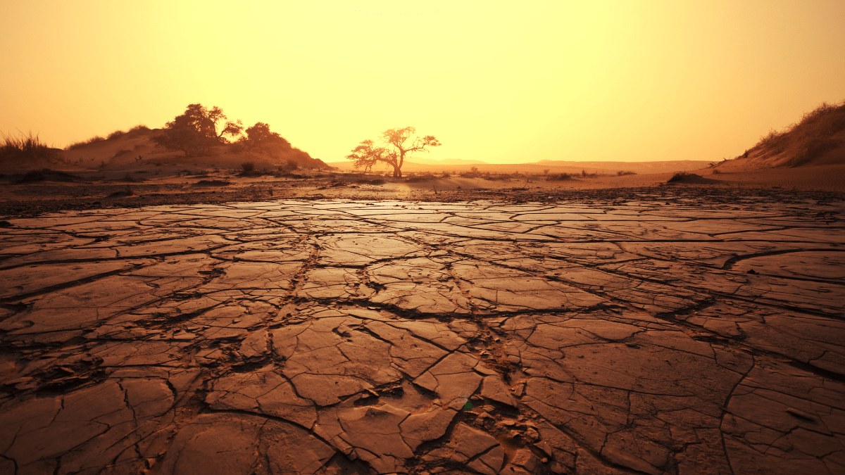 Cracked and dry soil in Africa