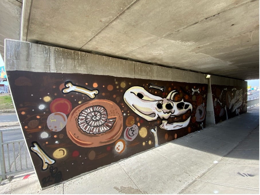 A mural with dinosaur bones and fossils