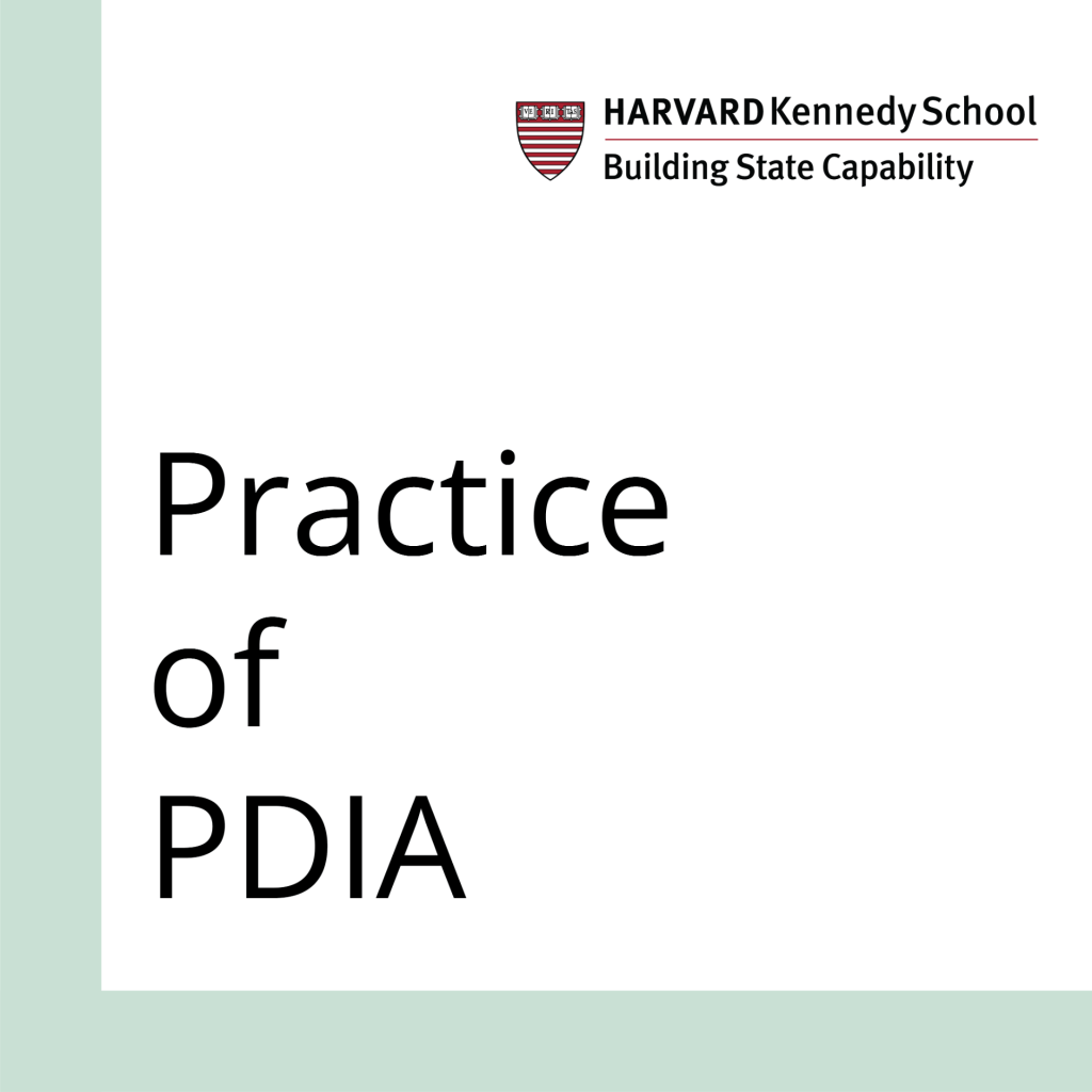 Practice of PDIA cover photo