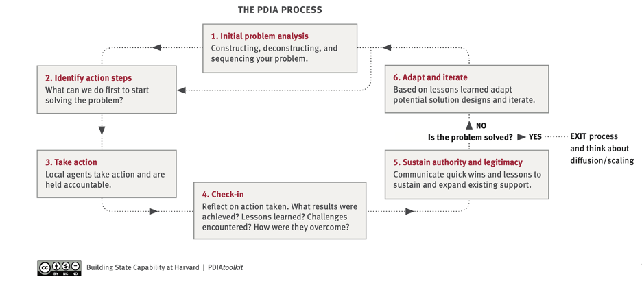 PDIA process diagram