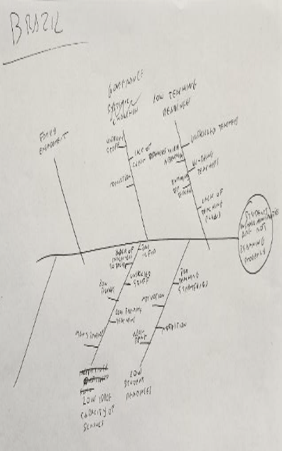 a fishbone diagram drawn on paper