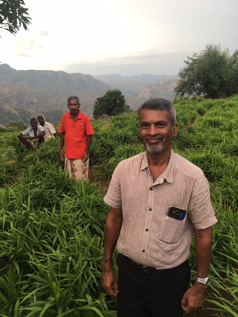 group of men standing in a lush green field