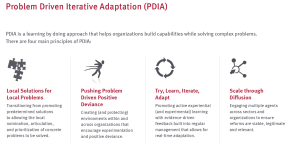 Screenshot of PDIA process