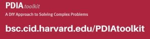 PDIA toolkit cover: A DIY approach to solving complex problems