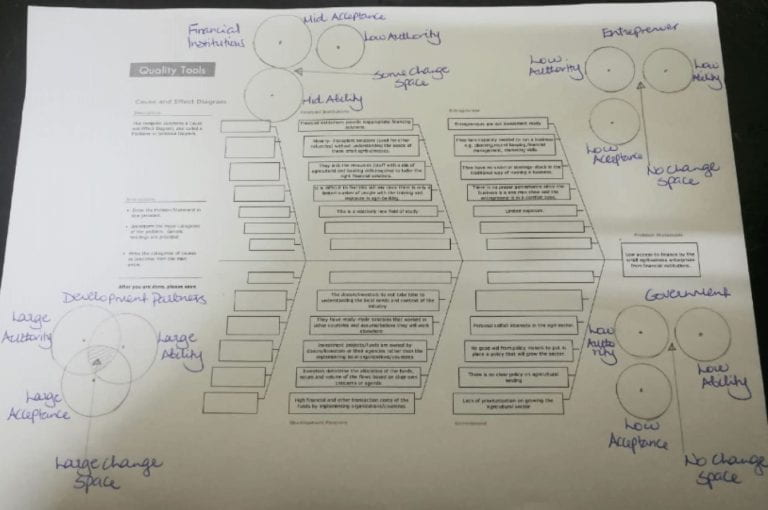 Fishbone Diagram