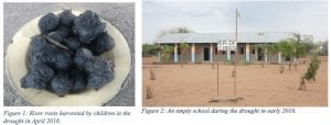 Harvest during drought and school during drought of 2016