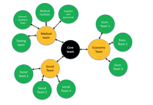 image of the snowflake organizational structure of distributed teams