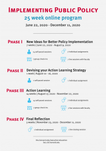 infographic on different phases of the IPP program online
