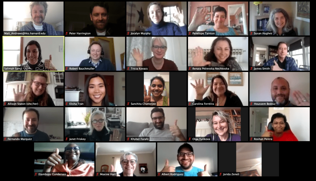 Zoom screenshot of participants