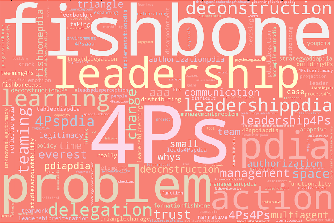 Word cloud of key concepts from IPP 2020