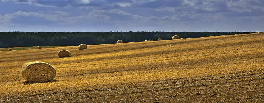 Agriculture fields in Albania