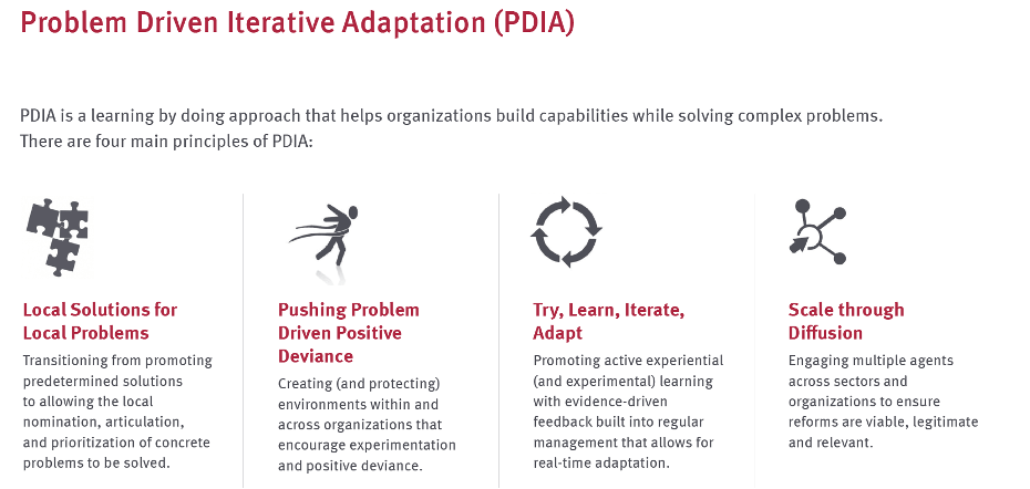 PDIA learning approach