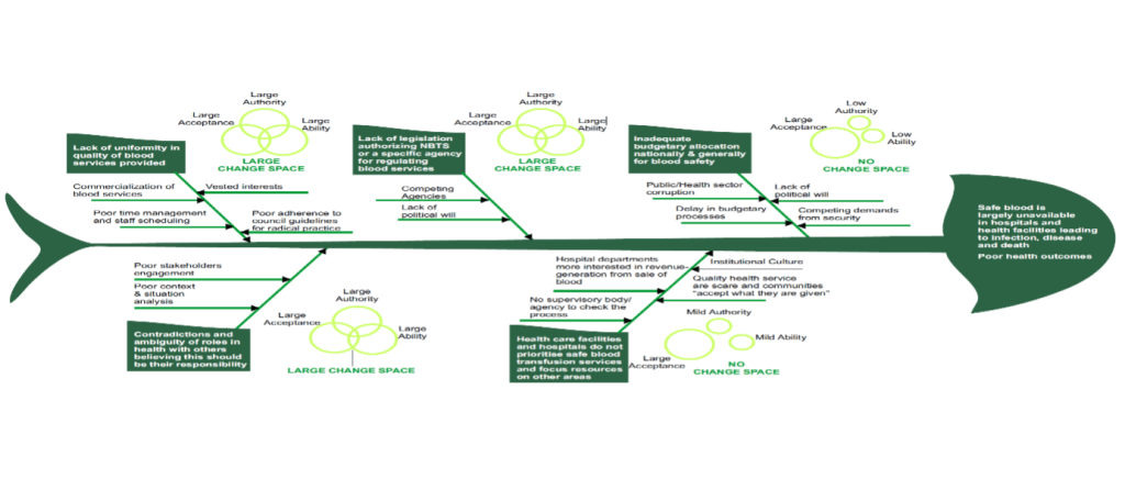 Fishbone diagram week 6