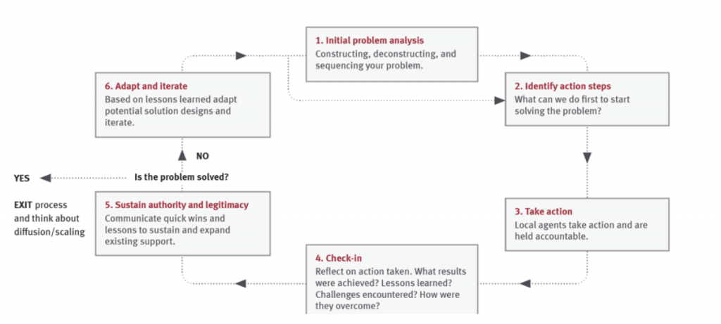 PDIA 6 step process graphic