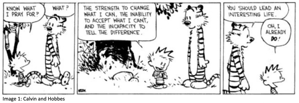 Decorative: Calvin and Hobbes cartoon