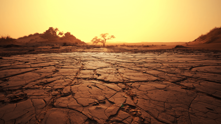 Cracked and dry soil in Africa