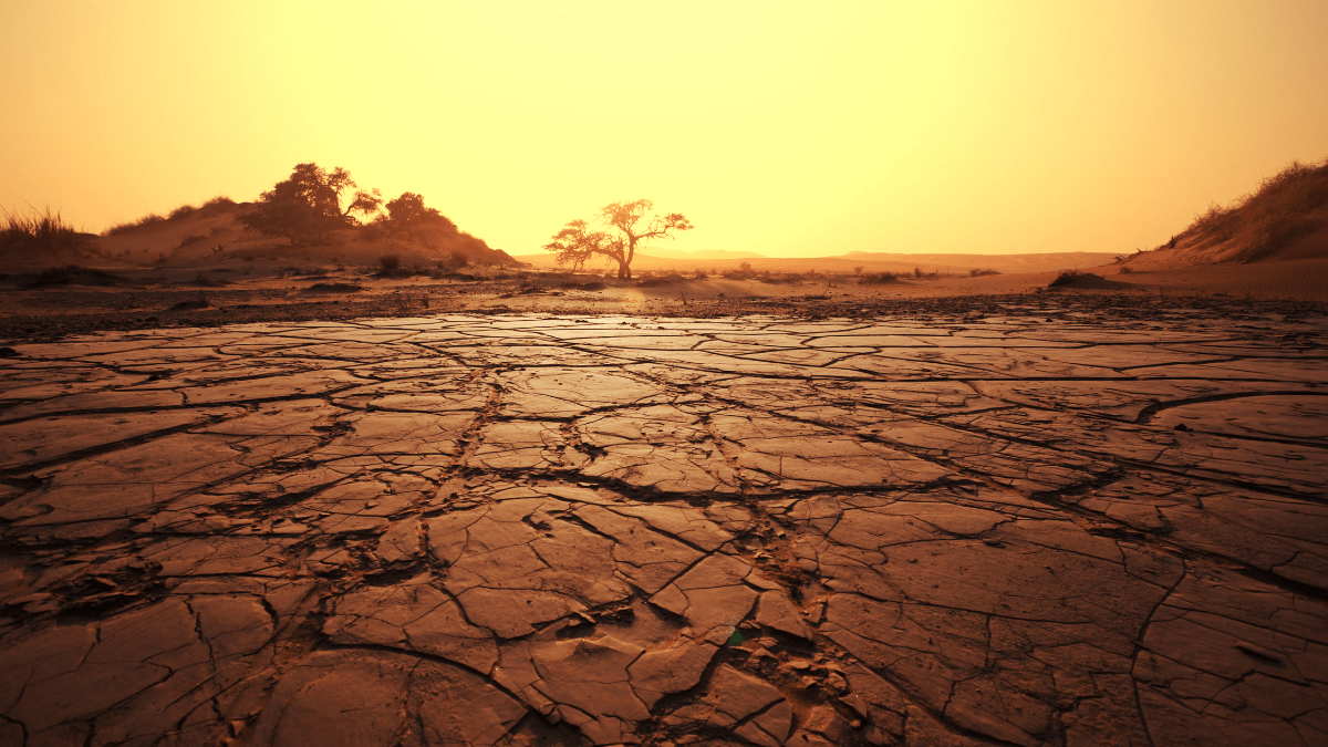Disaster Risk Management in Kenya