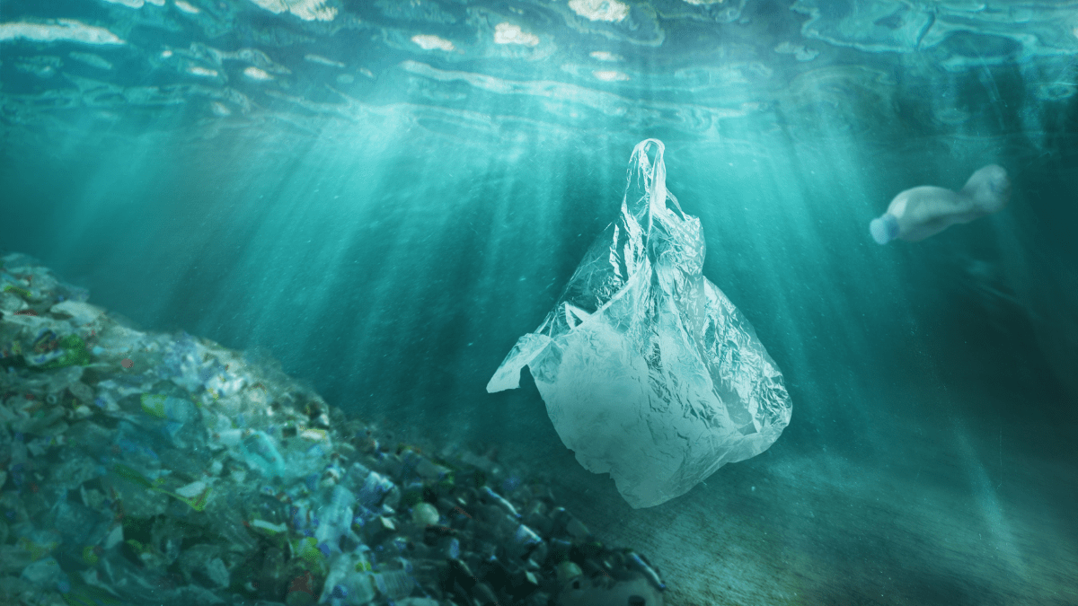 Reducing plastic pollution into the oceans before it is too late