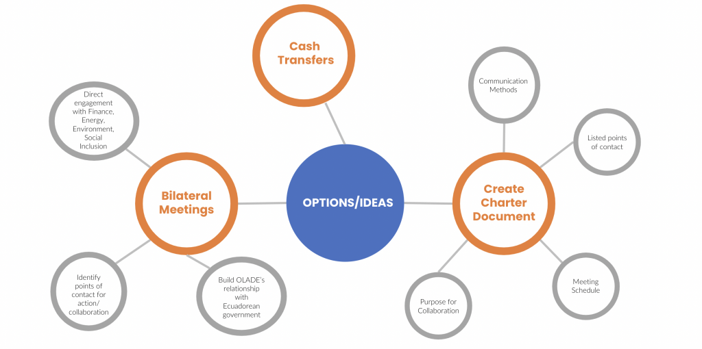 Options/ideas spider map