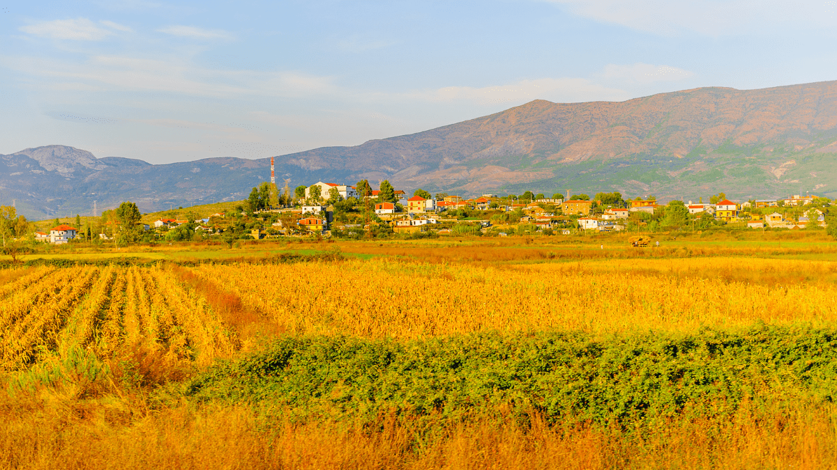 Reflecting on the Growth of Agriculture in Albania