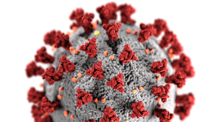 Covid 19 molecule