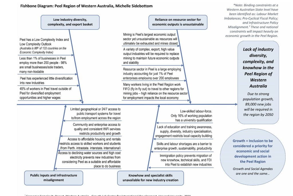 Fishbone diagram for Western Australia team