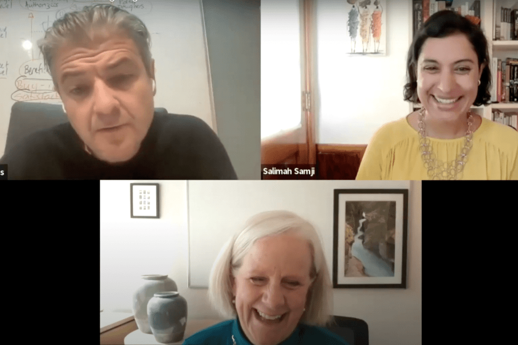 Matt Andrews, Salimah Samji, and Allison Pingree on zoom