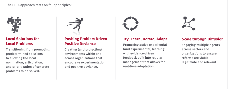 Graphic explaining the four principles of the PDIA approach