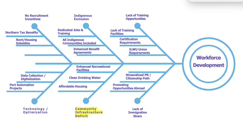 Fishbone diagram exploring workforce development