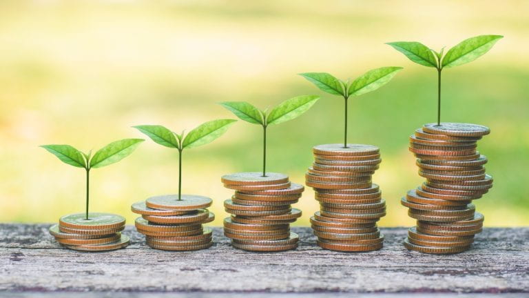 Coins stacked in upward trajectory with green plant on top