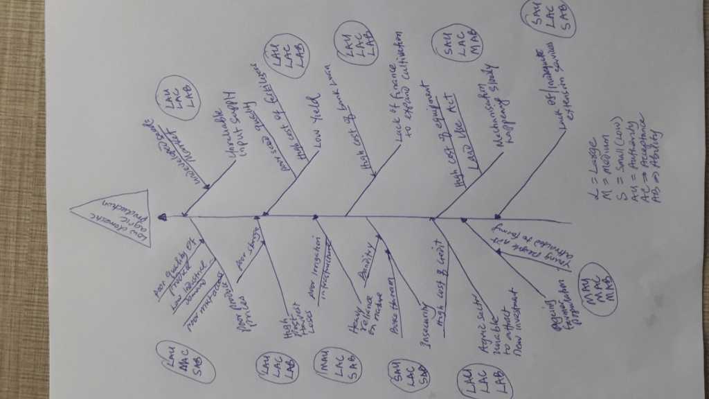 Fishbone diagram