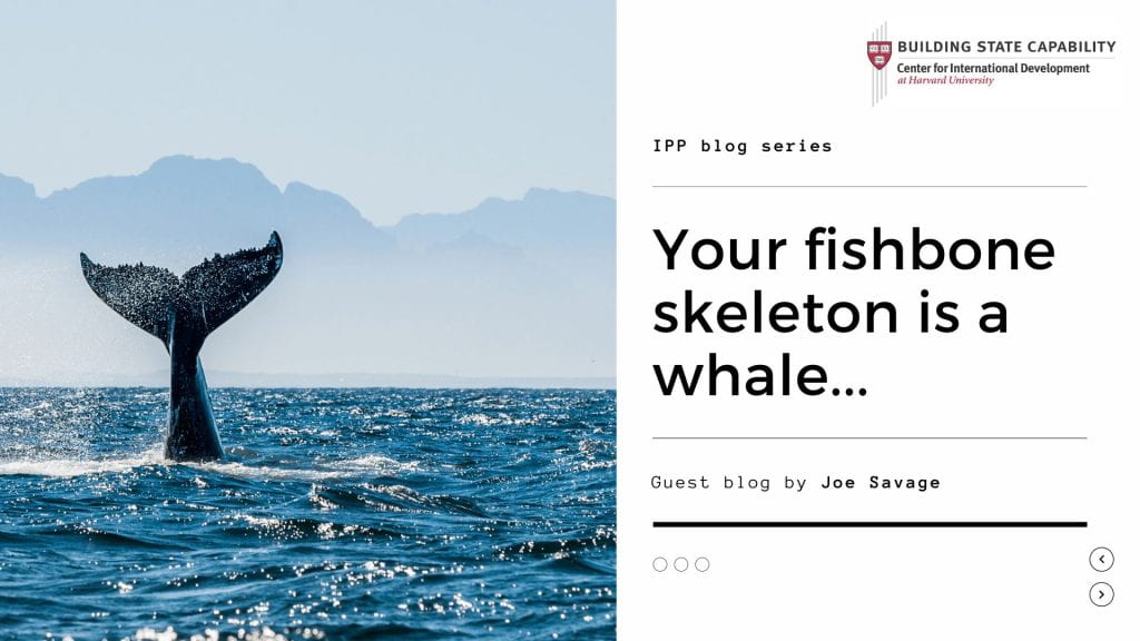 "Your fishbone skeleton is a whale..." with image of a whale tail
