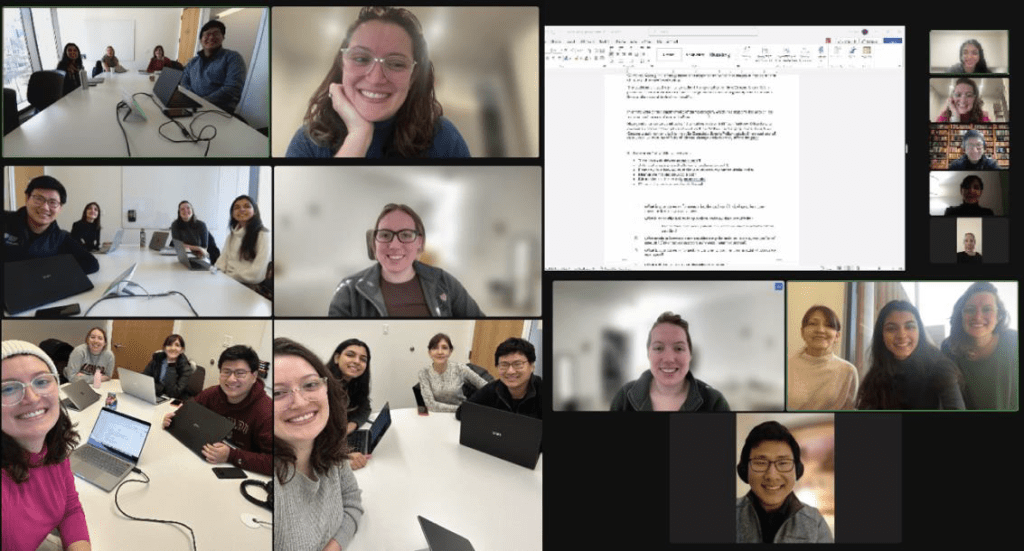 screenshot of a zoom meeting