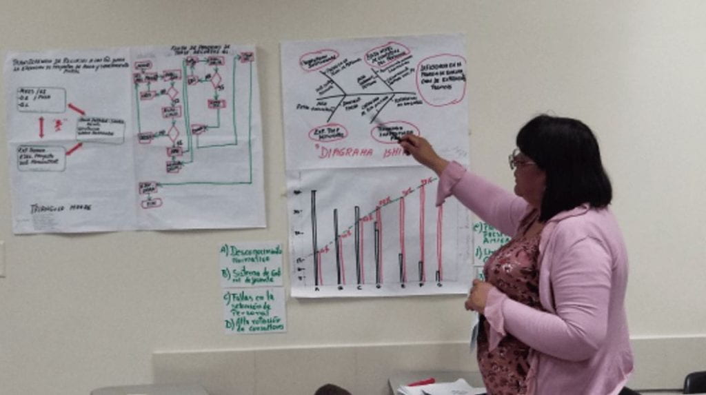 A person pointing at a fishbone diagram on the wall 