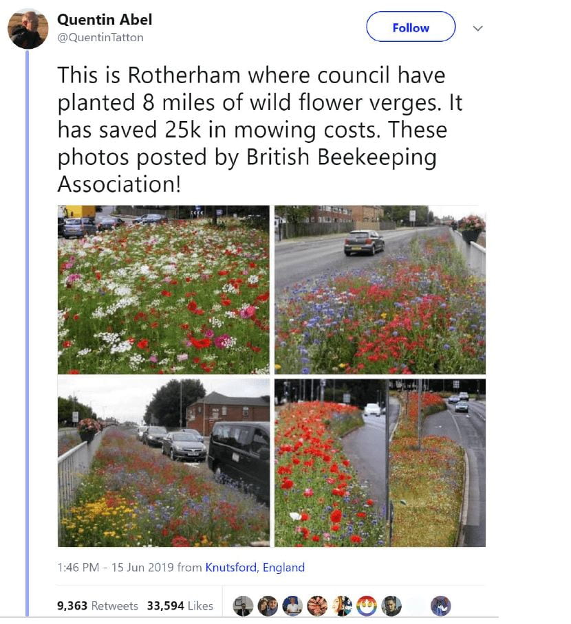 screenshot of a twitter post regarding wild flower verges