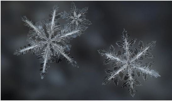a close up of snowflakes