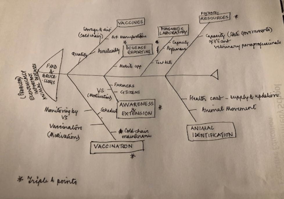 fishbone diagram drawn on paper