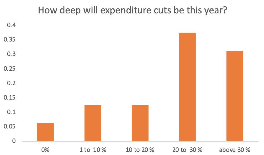 graph on expenditure cuts