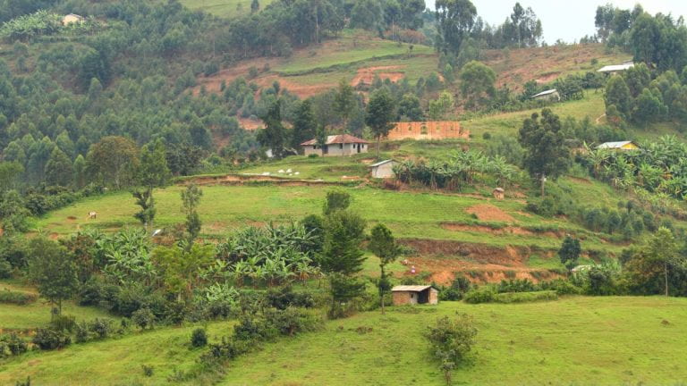 Rural Uganda land use