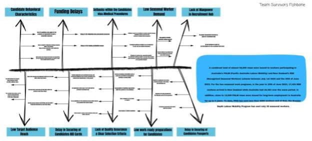 Fishbone diagram