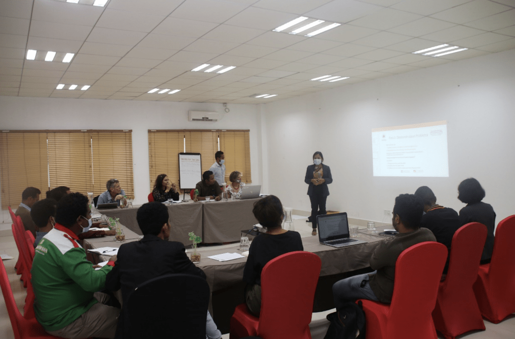 A person presenting at a workshop