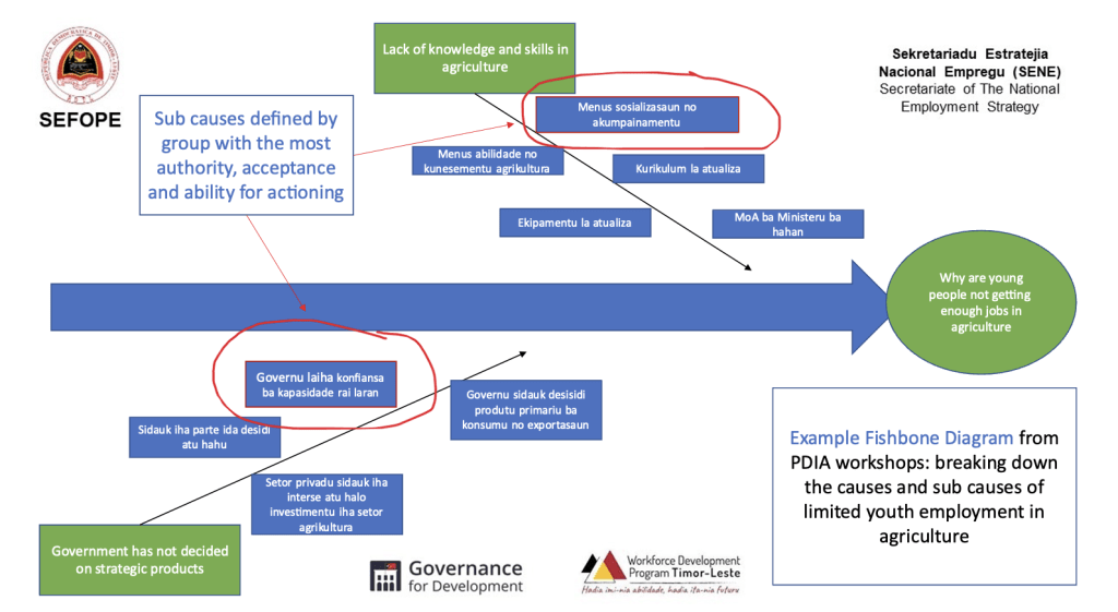 Fishbone diagram from PDIA workshops on jobs in agriculture