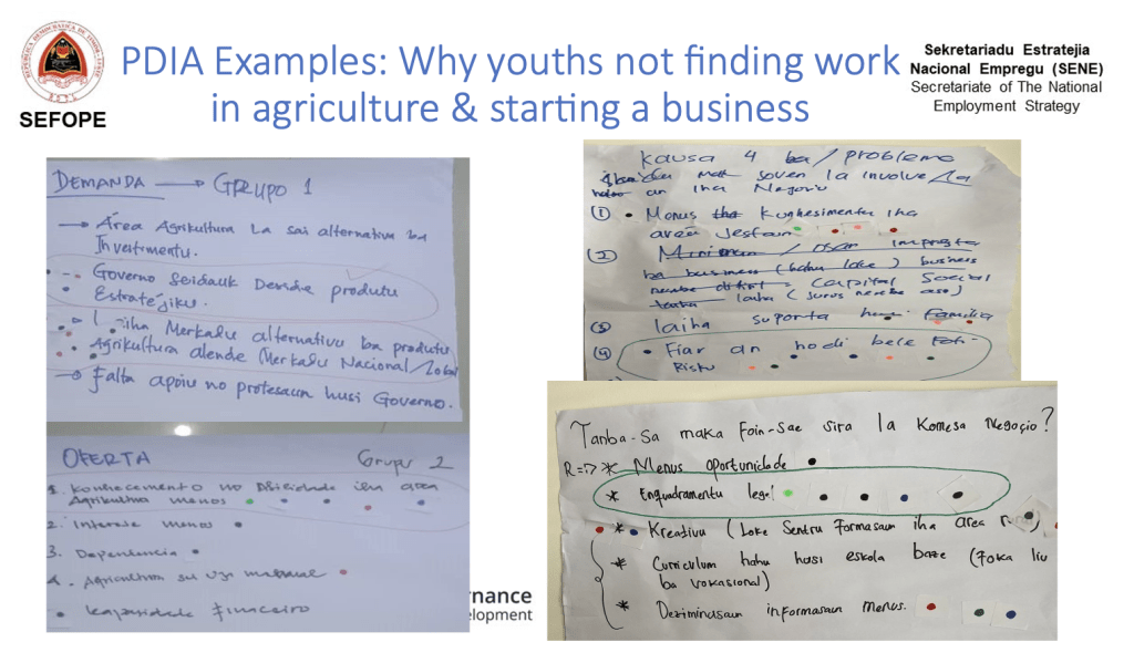 PDIA brainstorms on why youth aren't finding work in agriculture and starting a business