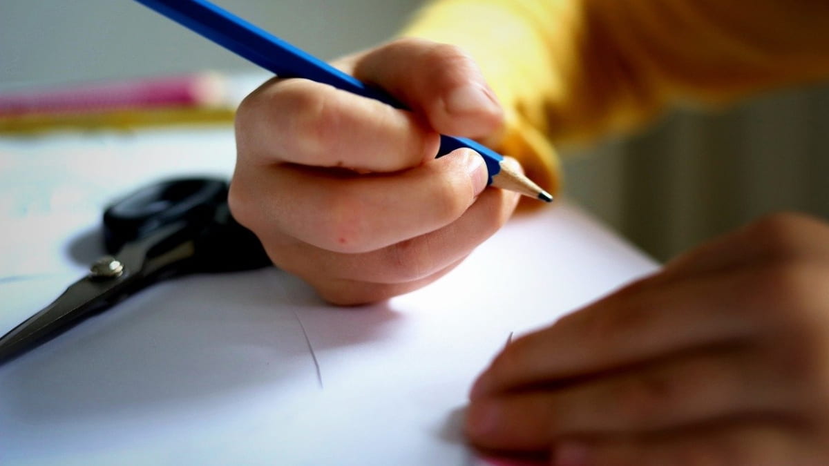 PDIA to Support Teaching Training in Brazil