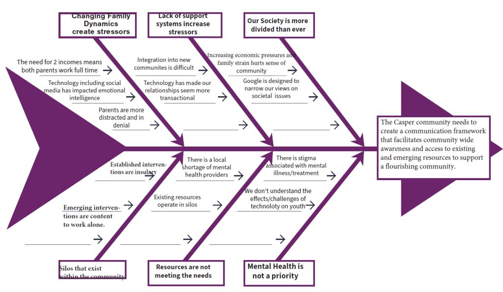 Fishbone diagram developed by Soleve, demonstrating the iterative process that guided their approach.