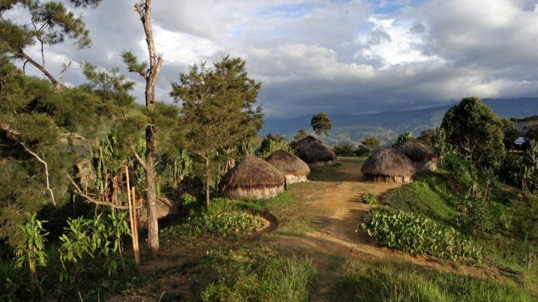 Remote village in Papua New Guinea