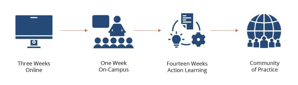3 weeks online, 1 week on campus, 14 weeks action learning, community of practice