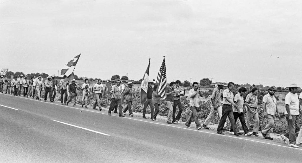 Marshall Ganz walking on the side of the road with many members of the farm workers union, some holding flags