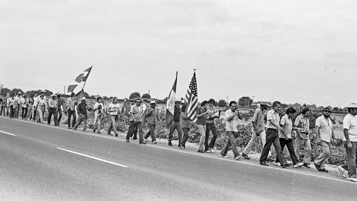 Marshall and farmworker's union walking on the side of the street